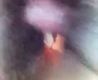 Секс целка кз познакомилась с парнем на сайте и отдалась ему